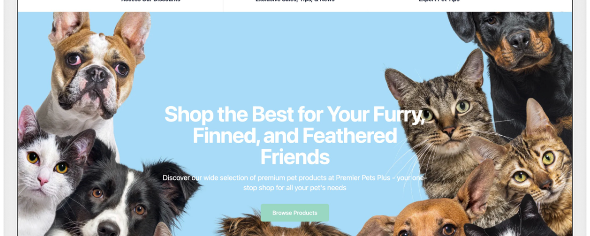 FreshStore Review Example Store Home Page