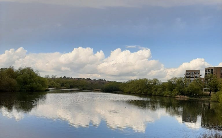 blue body of water with just a low rise shrubs and some buildings to the right. white cloud hanging low on a blue sky — equally reflected in the blue water.