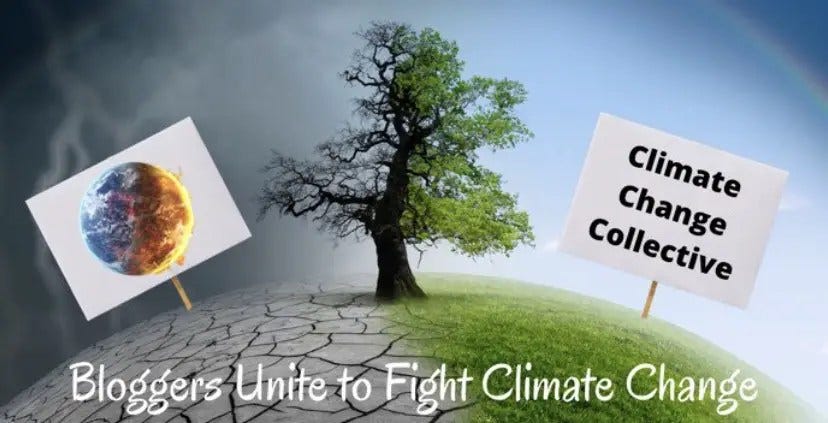 Climate Change Collection image