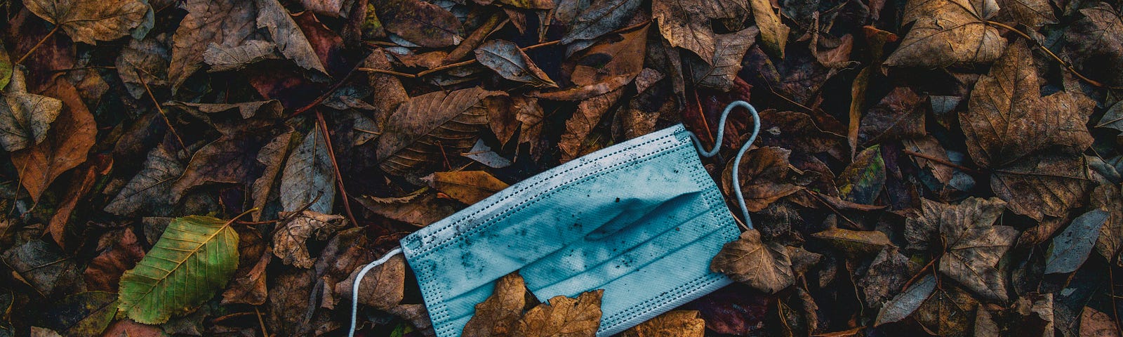 A dirty, forgotten face mask half-buried in wet leaves on the ground.