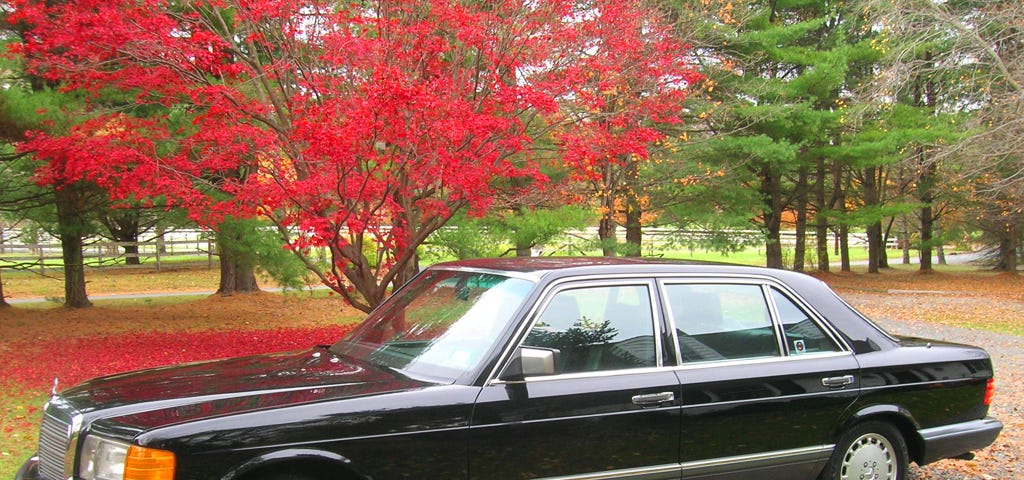 Mercedes-Benz W105 560SEL in black with grey bumpers, parked in a glade of autumnul trees.