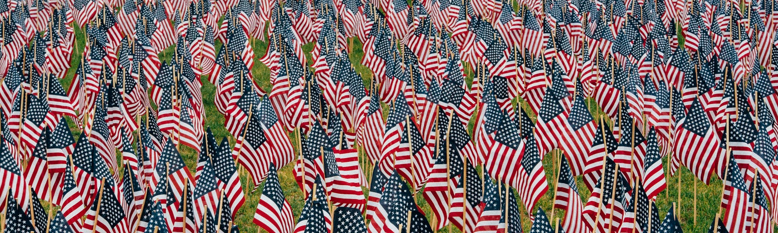 A sea of American flags on an open field of grass
