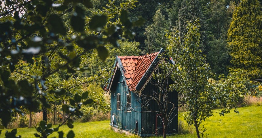 tiny house in field in the woods