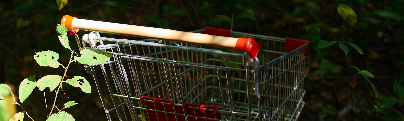 Grocery cart in middle of greenery and tress representing eco-friendly and sustainability.