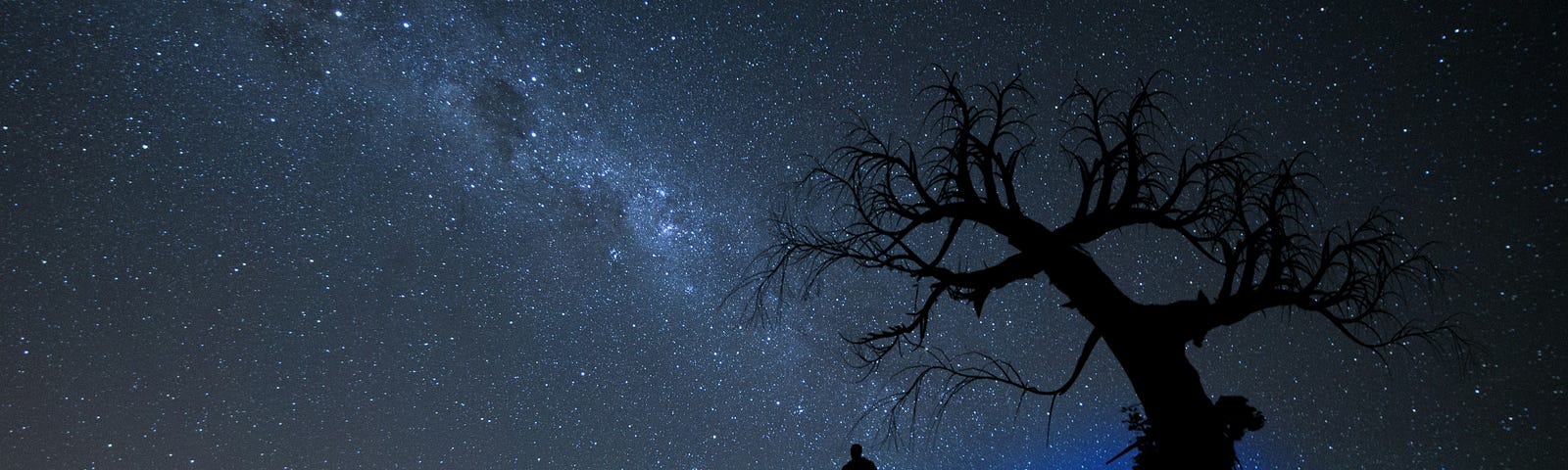 Silhouette of a man and a tree with no leaves under the night sky.