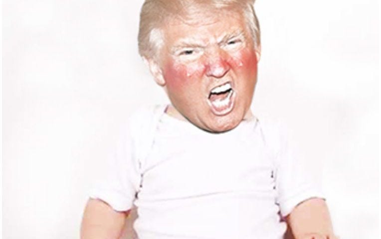 Image result for trump temper tantrum