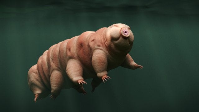 What If We Taught Robots the Tardigrade Two-Step? - ExtremeTech
