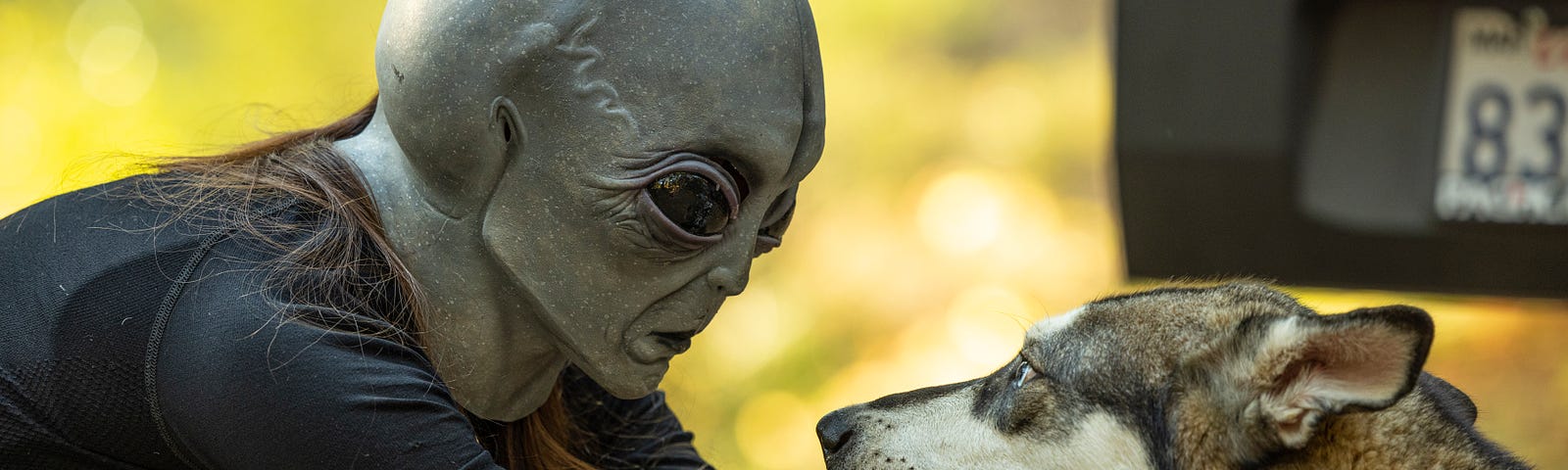 alien with good boy