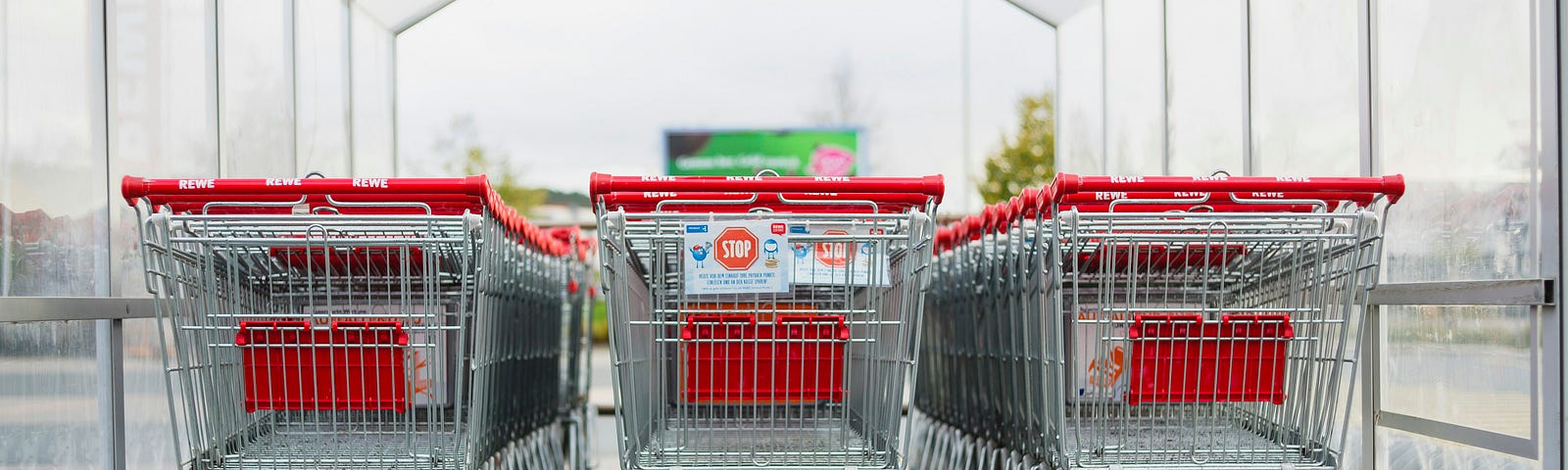 Rows of grocery carts at a grocery store entrance