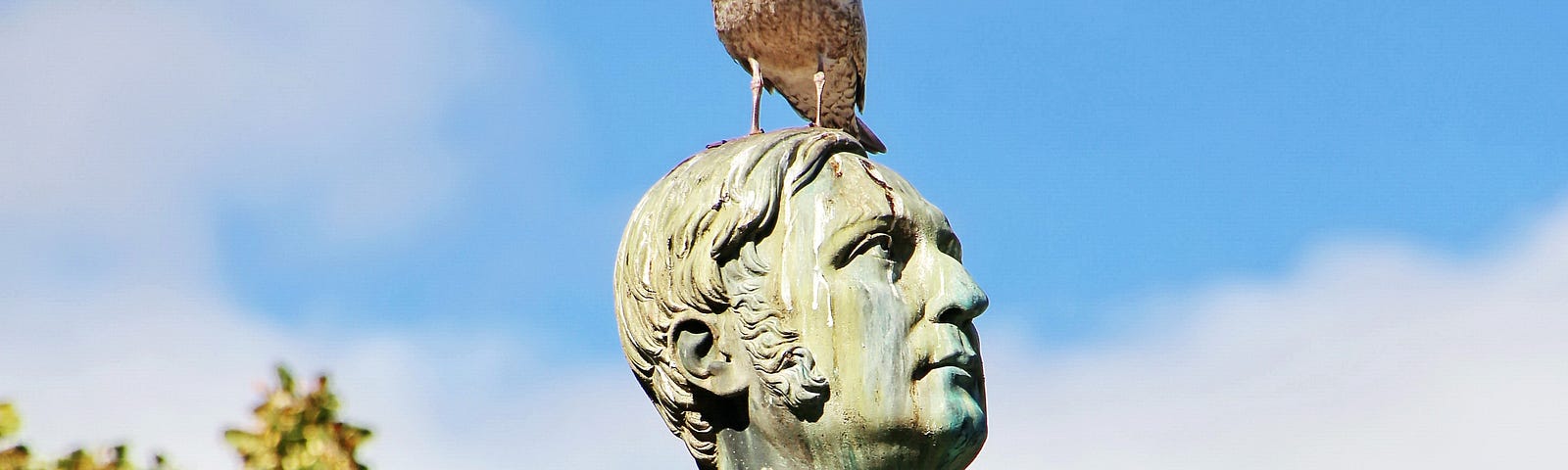 Photo of a bird perched atop the head of a statue of a politician.