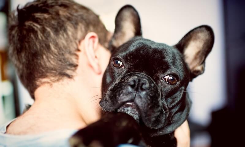 Male student hugging dog in puppy room