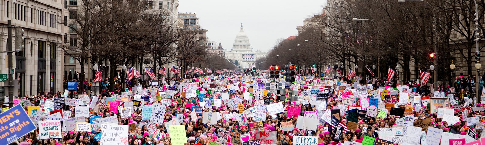 women’s march, a sea of pink hats and signs in DC