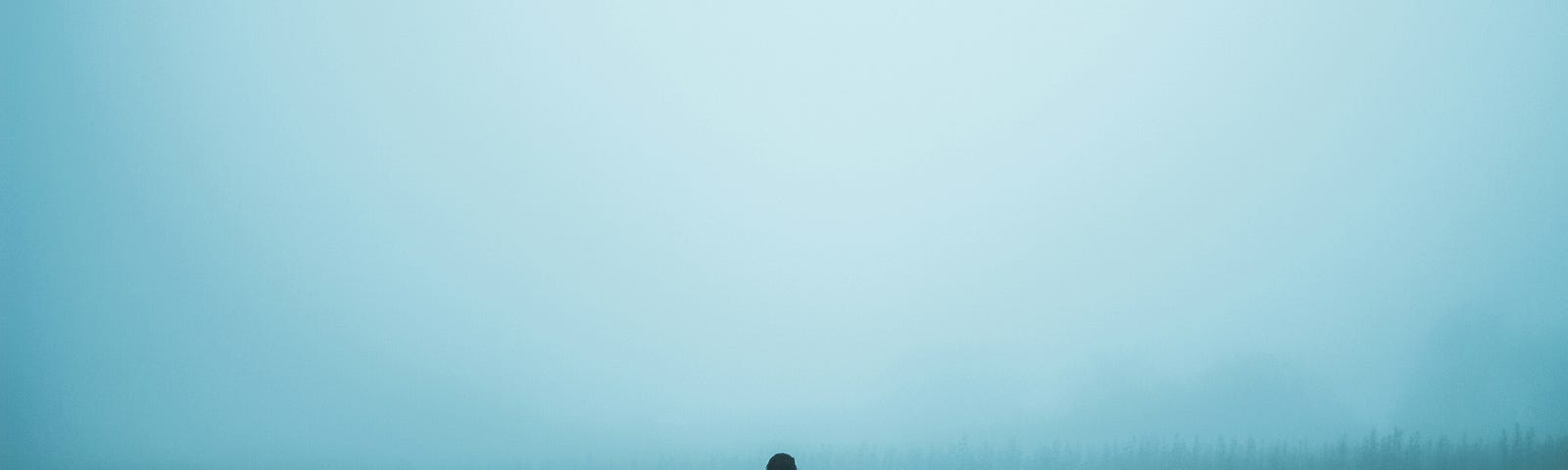 A figure vaguely seen among fog or cloud