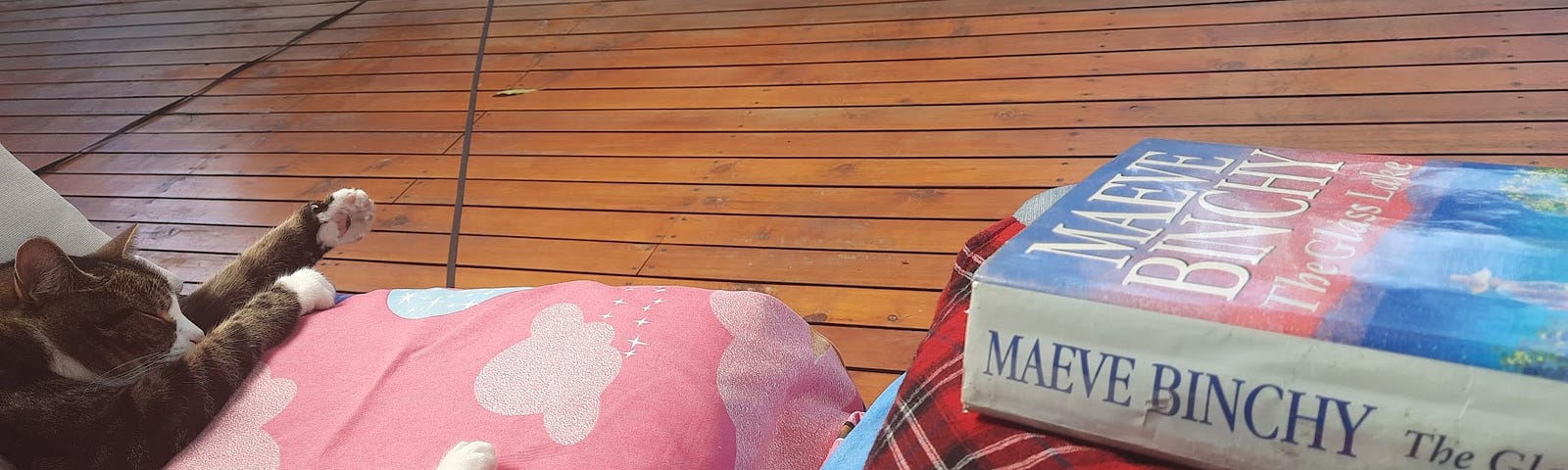 A book and a sleeping cat, on the deck of a house, facing the garden.