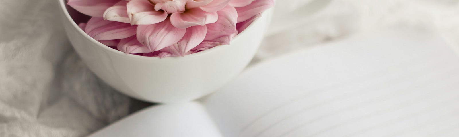 A mug with a pink flower sits by the top of an open journal with blank pages.