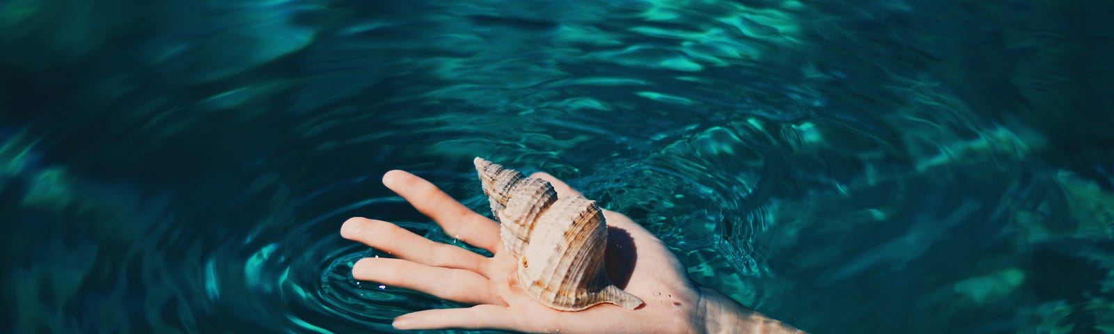 A shell in a hand in the water.