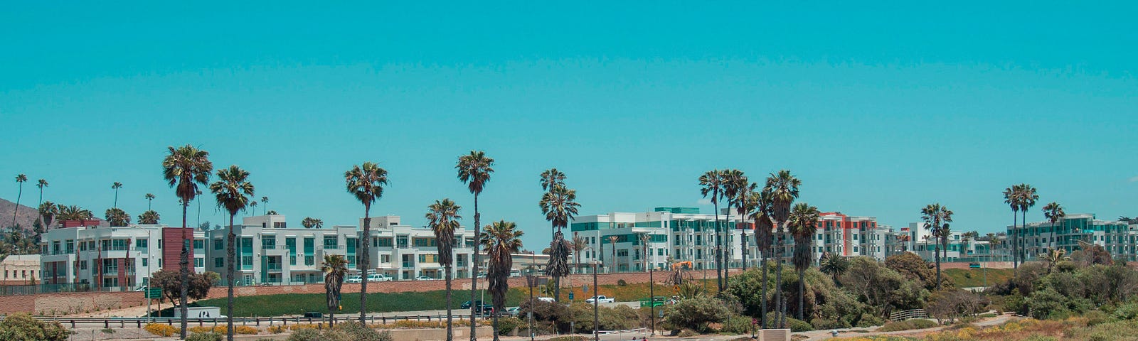 View of condominiums and palm trees from a sandy beach