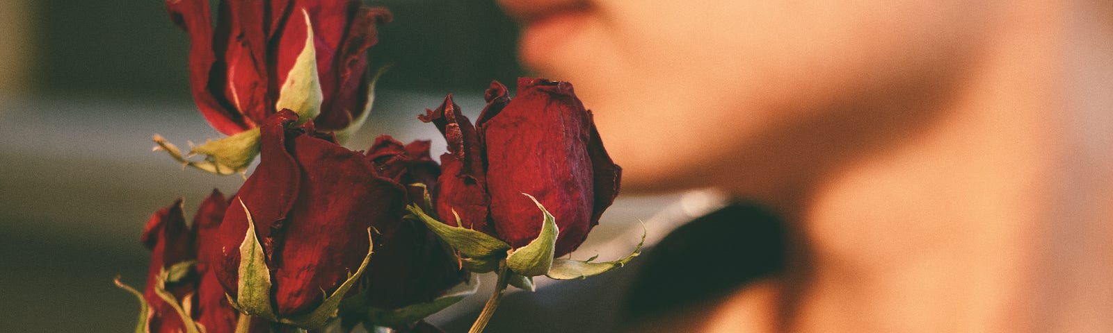 Dried roses, with someone in the background.