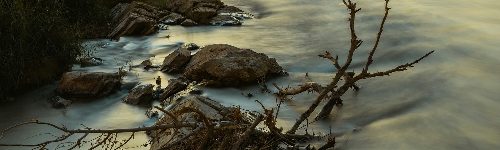 A close-up of natural debris caught in a river by dawn.
