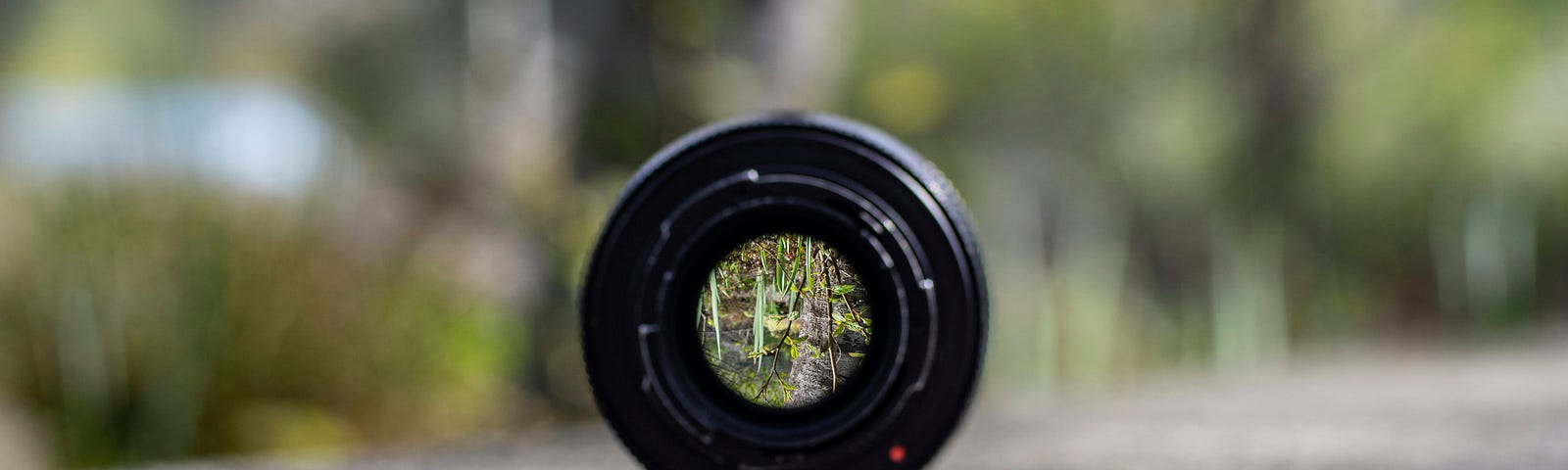 A focused view through a lens.