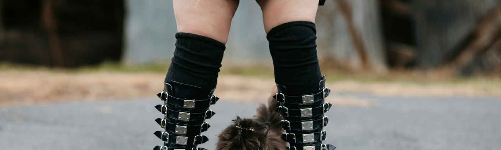 A woman is seen from the legs down, a black skirt pulled up revealing black spiky boots, long black socks, and a cat standing in between her feet.