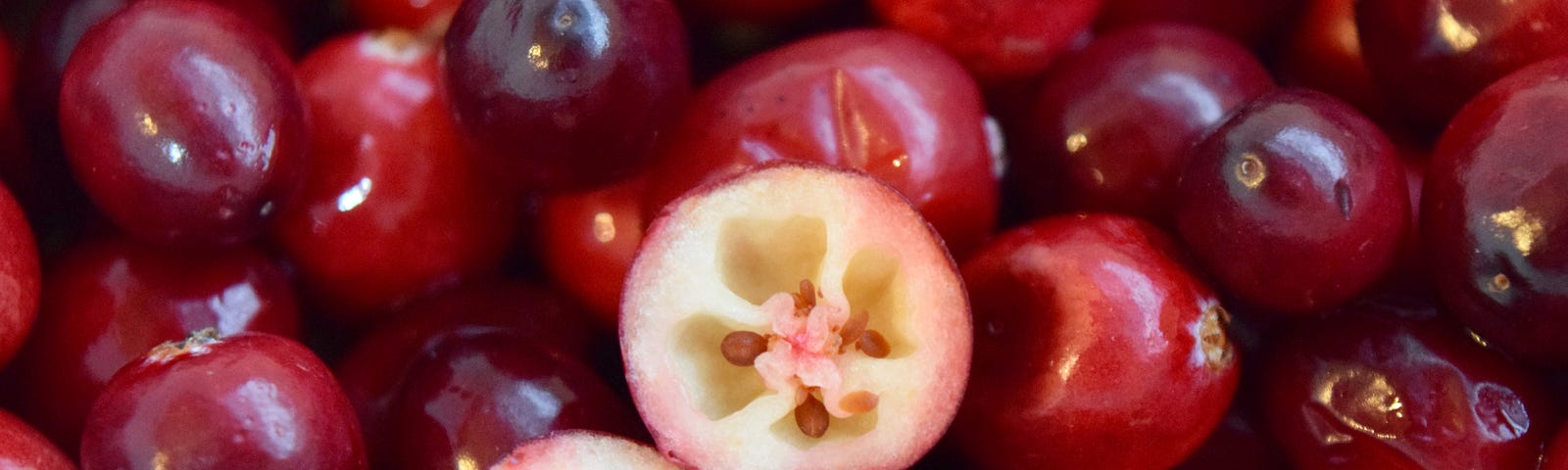 Whole cranberries fill the screen with one cranberry cut in half, showing the inner portions, in the center.