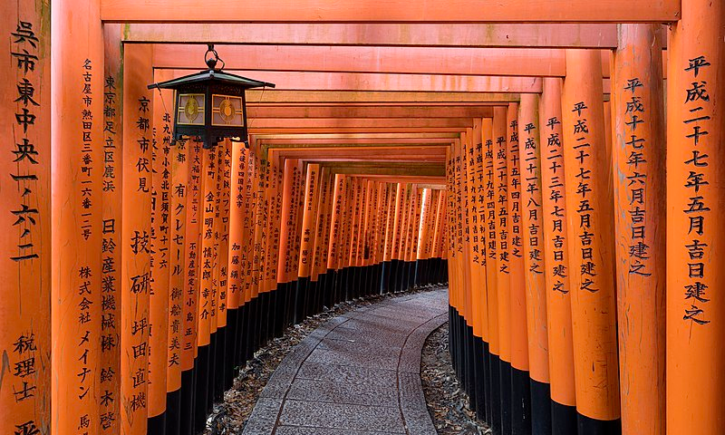 A photograph of a path lined with torii and with a lantern at Fushimi Inari Taisha shrine in Kyoto, Japan