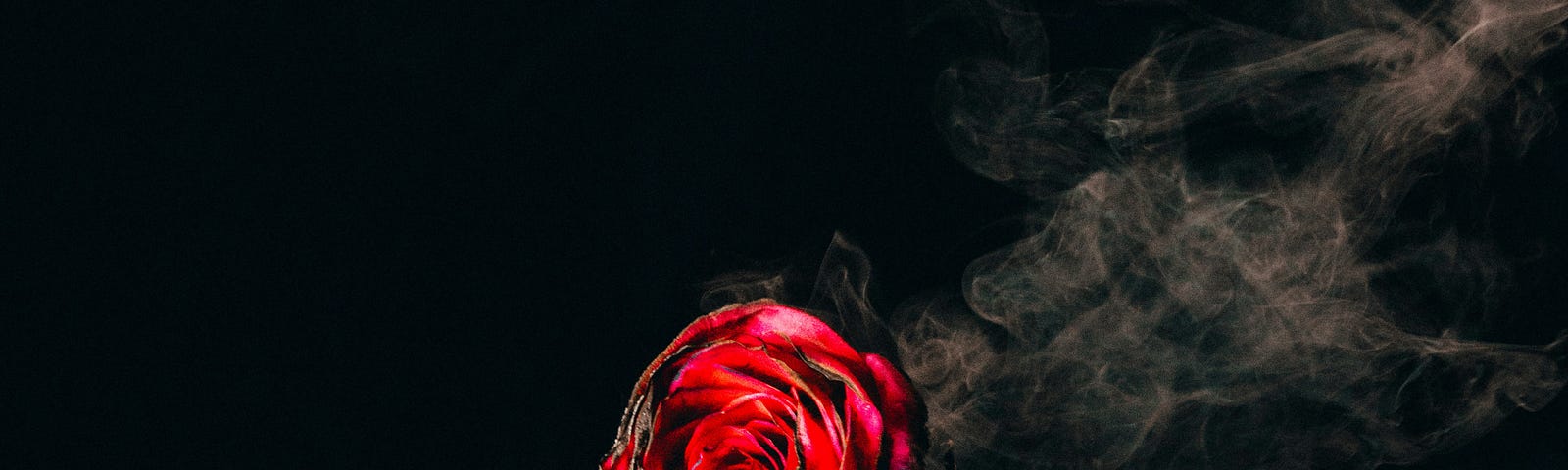 A rose, smoke emanates from the rose, signifying heartbreak.