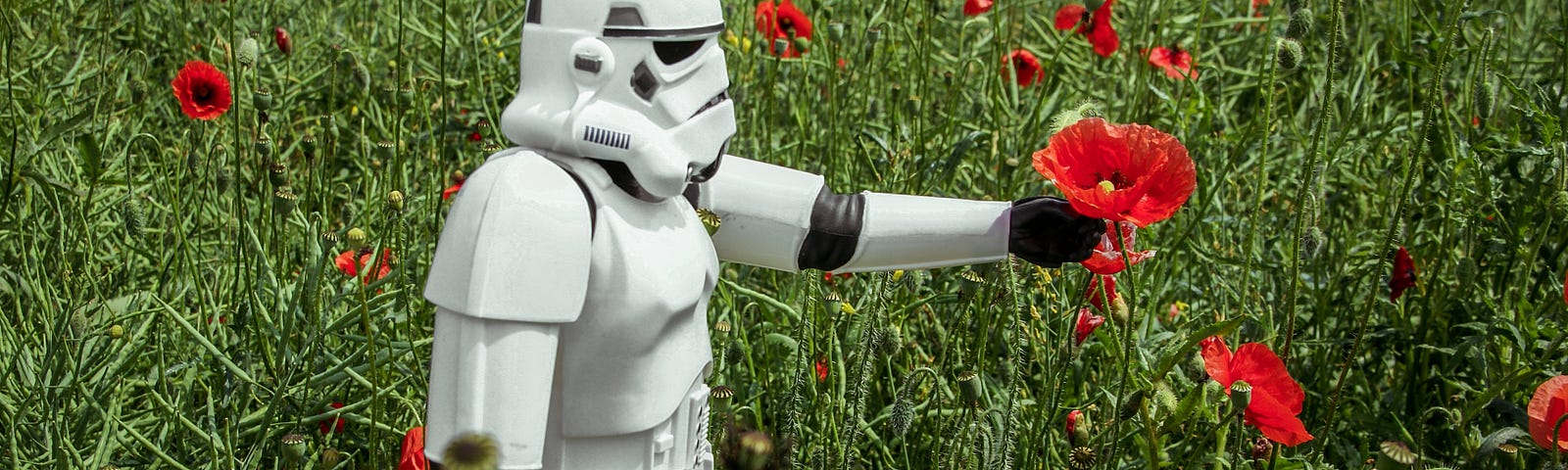 Stormtrooper in a garden of flowers.