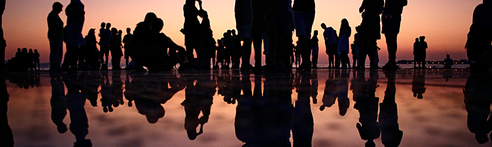 Silhouettes of numerous individuals at twilight with their reflections below them.