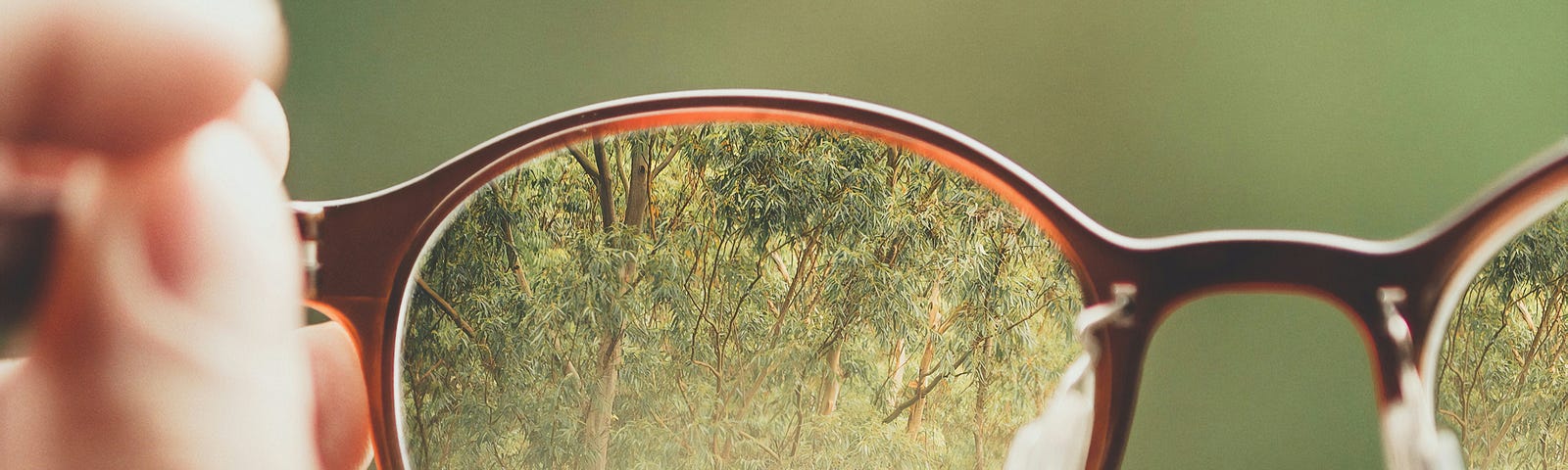 Hands holding a pair of old dirty glasses reflecting trees in front of them.