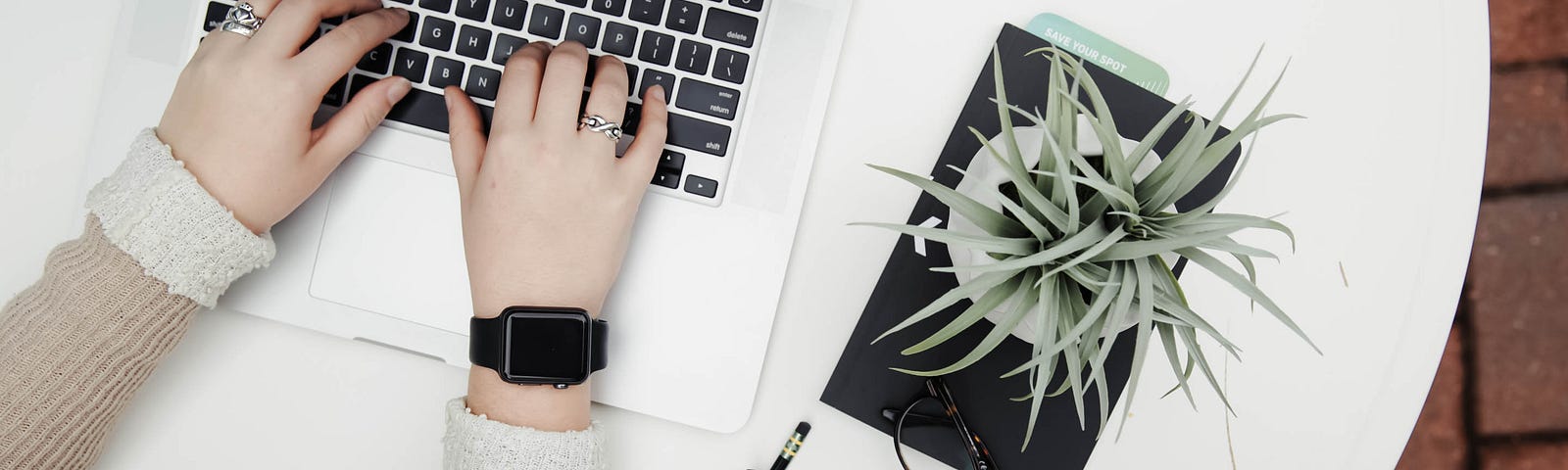 Person using laptop computer next to aloe vera plant