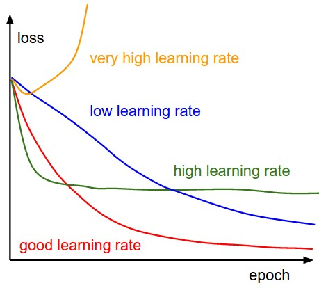 à¸à¸¥à¸à¸²à¸£à¸à¹à¸à¸«à¸²à¸£à¸¹à¸à¸ à¸²à¸à¸ªà¸³à¸«à¸£à¸±à¸ learning rate