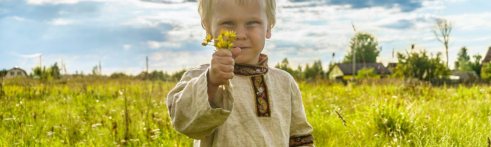 young boy with flowers, in the middle of yellow meadow