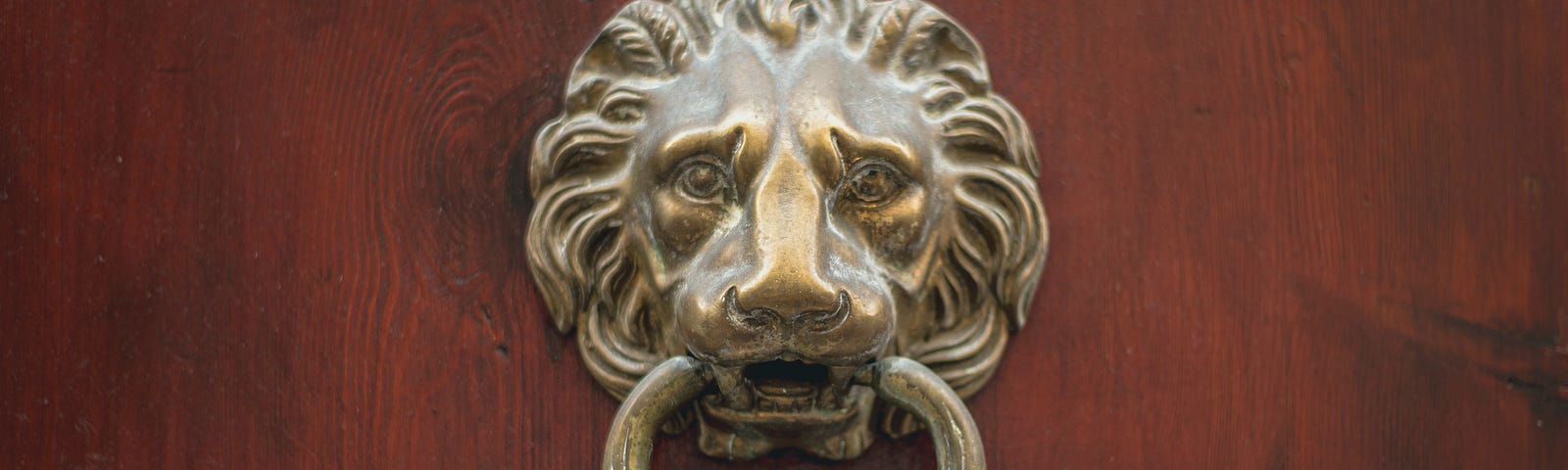 lion door knocker