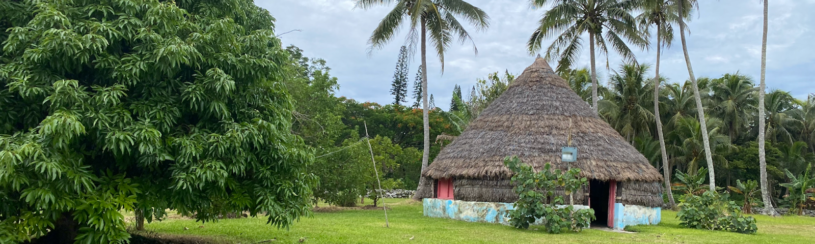 Yams that have been ceremonially blessed outside the meeting place of a Big Chief on Nengone (Maré), in the Loyalty Islands of New Caledonia.