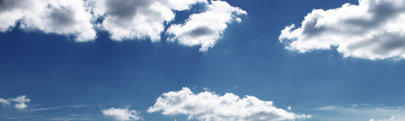 Blue sly with clouds and a bird