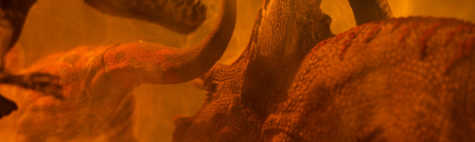 Dinosaurs around an orange atmosphere and dust