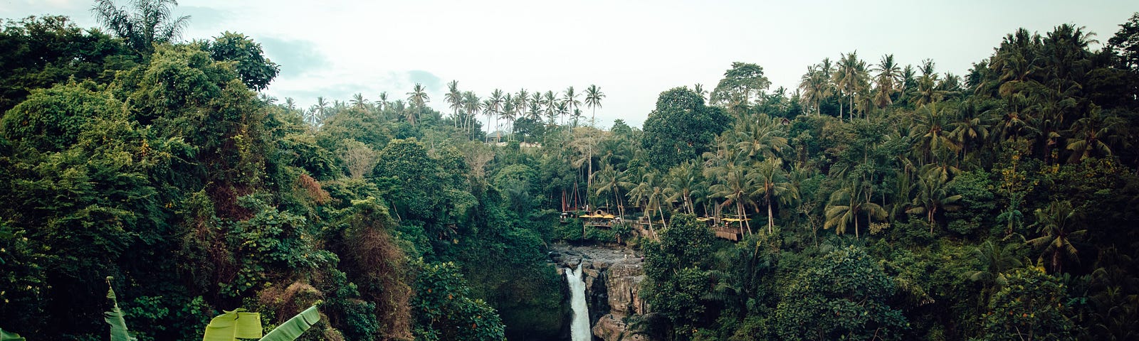 Jungle with water fall