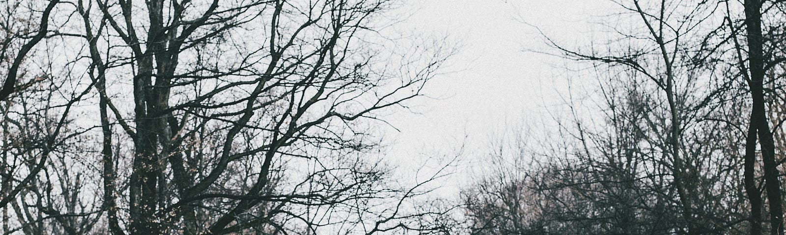 long lonely road with woman walking