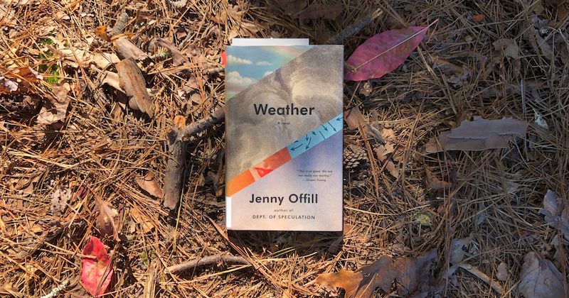 A photo of Weather by Jenny Offill resting on a bed of pine straw.