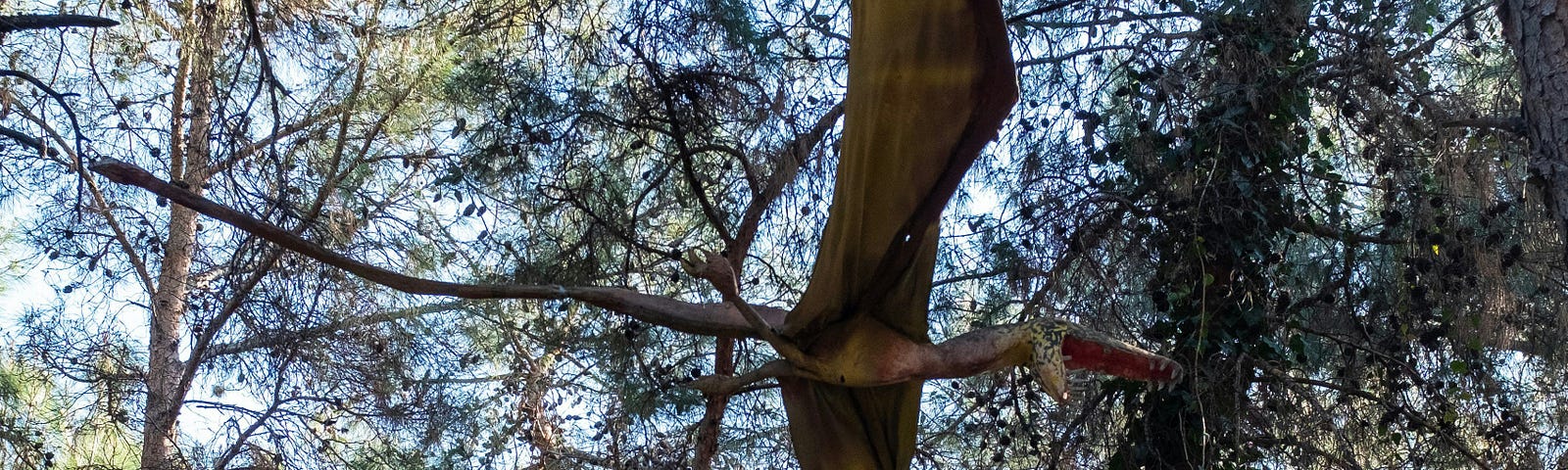 Images of pterodactyls flying among trees