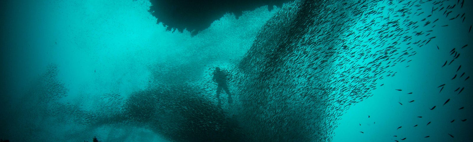 A human figure is shown underwater surrounded by rocks and schools of fish.