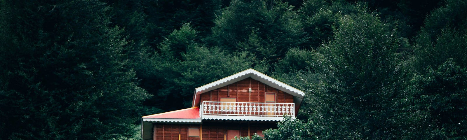 Picture of a house in the jungle, surrounded by lush green vegetation