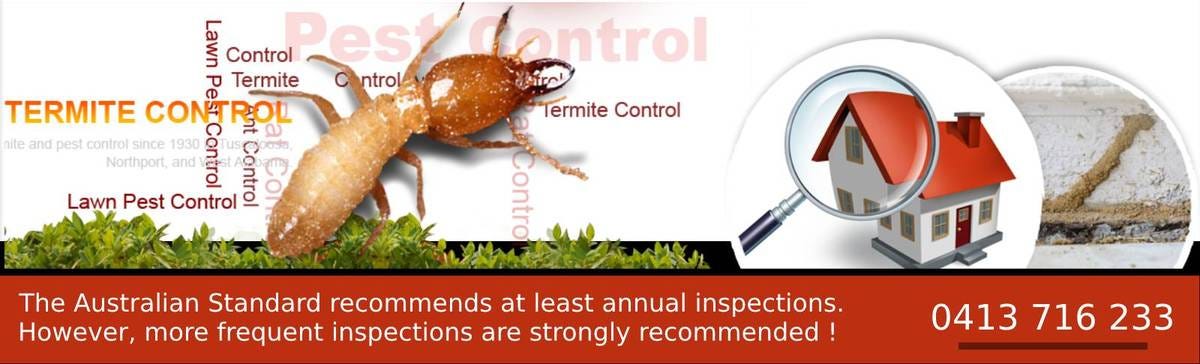 Advantages Of A Termidor Termite Treatment Pest Control Melbourne Experts In Termite Inspection Control Treatment