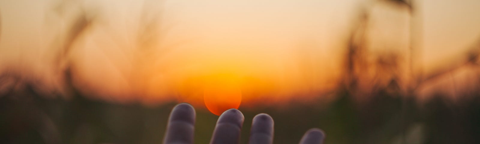 hand reaching into the sunset