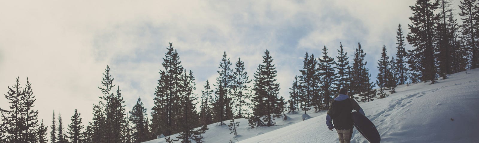 person in snow pants and winter coat walking up a hill with an inner tube under their arm, pine trees in the distance