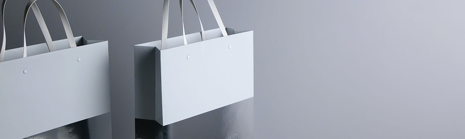 Two luxury shopping bags