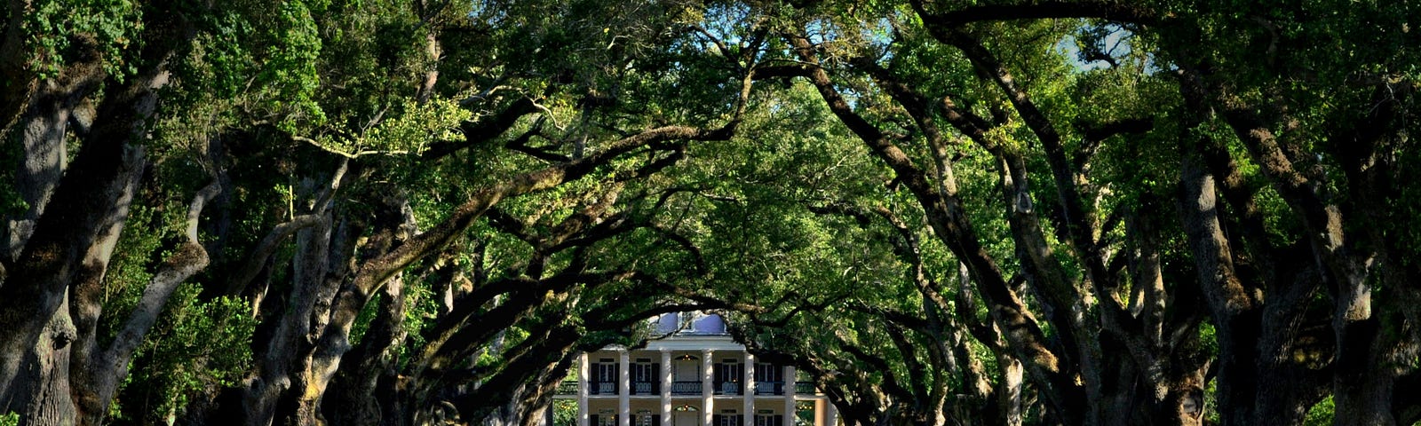 View down the sidewalk through the overhanging branches of trees to a southern plantation home.
