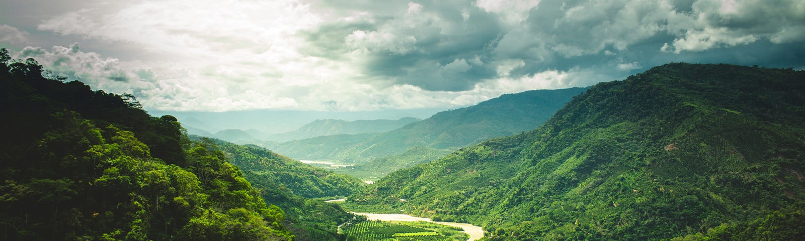 A lush green valley